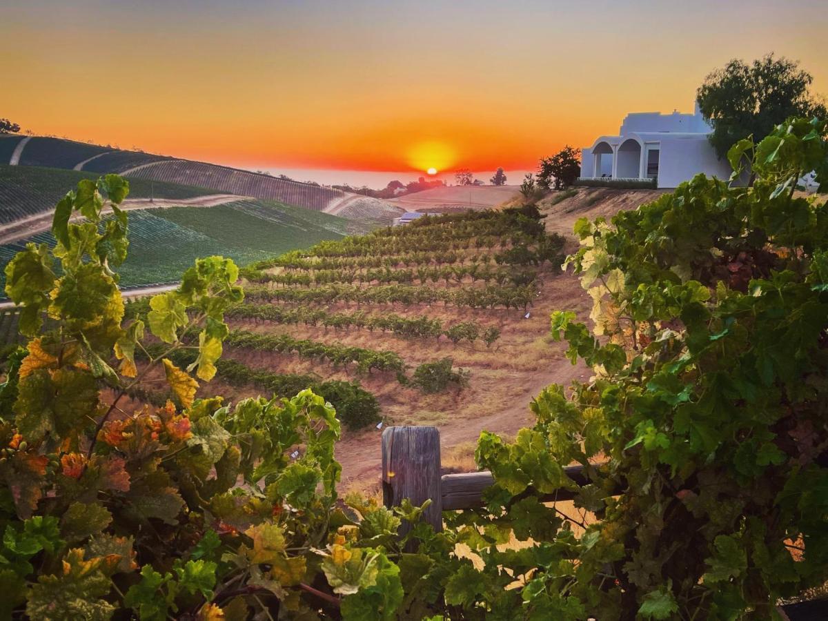 Sirena Vineyard Resort ปาโซโรเบิลส์ ภายนอก รูปภาพ